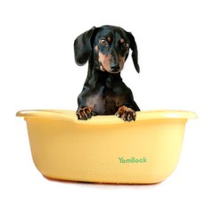 요미락 펫 욕조 오렌지 강아지욕조 고양이 반려동물 바스 목욕, 1개