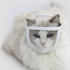 일상채움 고양이 그루밍 핥기 물기 방지용 마스크 1p, 1개