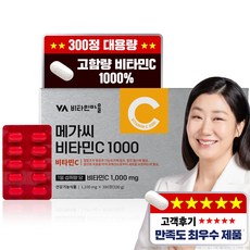 비타민마을 고함량 메가씨 비타민C 1000mg, 1박스, 300정