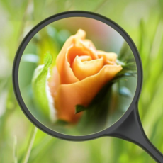 확대경 5 10 20 30배율 선명한 대형 포터블 100mm빅미러 학생 독서 열독 신문보기 확대 거울 노안 노인 시력 돋보기, 1개