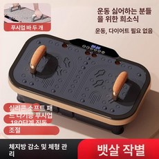 진동운동기 덜덜이 운동기구 흔들이 지방태우기 운동기계 홈트, 고급 모델 샴페인 골드, 기본 모델명/품번