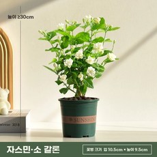 주방 미닫이수납장 부엌장 장식장 진열장 그릇 정리함 흰색 이중단 120x60x30 전체수납, 화분 포함, 소형 가든