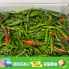 [로아프레시] 당일경매 당일발송 신선한 국내산 못난이 청양고추, 1개, 500g
