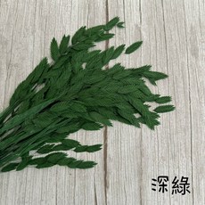 “Be a florist 花藝夢” 進口小盼草 永生花 乾燥花材 (以原裝出售), 深綠