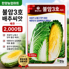 불암3호 2000립 배추씨앗 김장배주 종자 씨앗 팜한농, 1개
