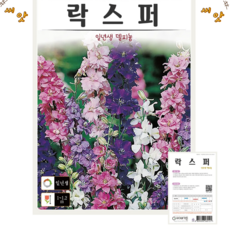 락스퍼 자이언트임페리얼 믹스 씨앗(200립) 델피늄 종묘 종자 씨 영웅 KS