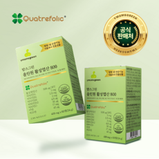 병원용 임산부엽산 임신준비 엽산제 활성엽산 800 맘스그린, 1개, 120정