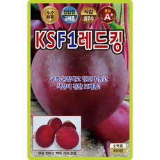 산들마켓 F1레드킹 비트 씨앗 100립 당도가 높고 색상이 진한 교배종 조생종 우수 품종, 1개