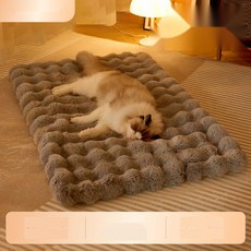 강아지러그 온열 쿠션매트 겨울용 애견 바닥 카페트, 11. 랜덤 컬러, S(50x40cm)