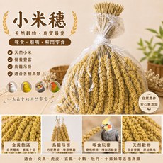 帶穗小米 鳥寶最愛 啃咬紓壓零食 文鳥 虎皮 鸚鵡適用, 1個, 500g