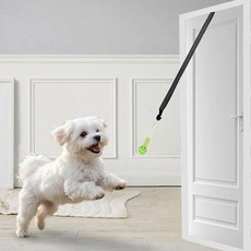 마이둡 강아지 셀프 노즈워크 터그놀이 장난감, 1개, 연두색