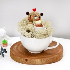 스칸디아모스 공기정화 천연이끼 인테리어 테디라떼, 바닐라라떼곰돌이, 1개