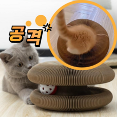 테일즈락 참교육 고양이 스크래쳐 장난감 둥지 공놀이, 1개, 고양이발바닥