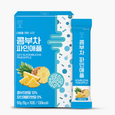 데이앤 콤부차 파인애플 30p