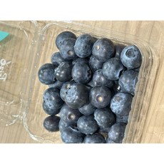 칠레산 생 블루베리, 1개, 중과(14mm-16mm)