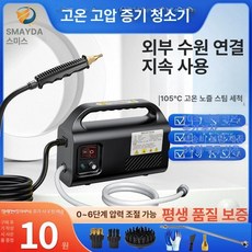 스팀 해빙기 스팀기 초강력 기름 수도 녹이는기계 고온 스팀기 살균기, B.블랙 2800 가정용-직분사, 1개