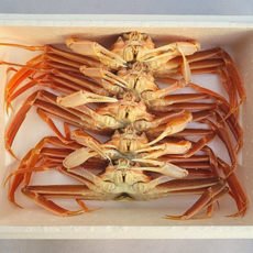 국내산 활 대게 5미 제철 대게 구룡포 산지직송 찜용 대게회가능, 1박스, 2.5kg(5미)