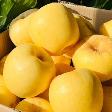 [직판특별가]농부의선택 못난이 과육꽉찬 자연당도 시나노골드사과, 1박스, 3kg