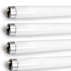 블링라이트 FL FLR 형광램프 직관 형광등 FHF 32W (4개입), 주광색, 1세트