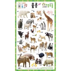 코벡사 동물 사운드벽보 520x765mm 1개 기초 벽그림 학습벽보 벽걸이