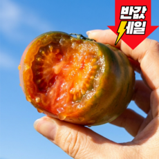 [선착순할인] 딱100박스만 초초특가 당도폭발 대저토마토, 1개, 2.5kg (2L-L)