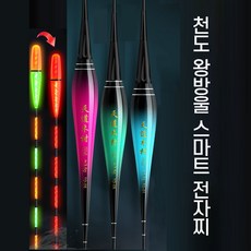 천도 왕방울 스마트 변색 전자찌 올림 내림 중층 민물 케미 캐미 야광 입질 감지 센서, 천도 TD-07 부력3g, 2개
