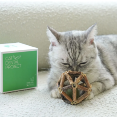 캣디피 CATDP 마따따비 캣닢 우드볼 공, 1개, 초록