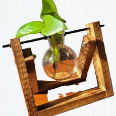 유리병미니화분 원목 인테리어 수경재배 키트, 1개