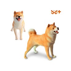 MB7 시바견 브라운 동물학습놀이