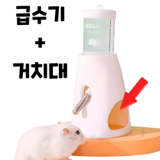 (best) 햄스터 급수기 물병 거치대 세트 은신처, 화이트, 1개