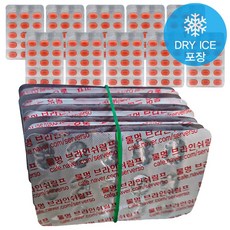 최상급 냉브 드라이아이스 포장 초고농축 프리미엄 냉동 브라인쉬림프 10팩 알약포장, 52g, 1개, 냉브 1세트 (10팩)