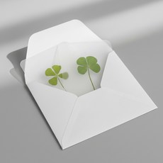 아트박스/굿즈하우스 행운의 네잎클로버 생화 압화 코팅카드, 생화 네잎클로버 코팅카드, 상세페이지 참조