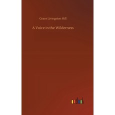 A Voice in the Wilderness Hardcover, Outlook Verlag