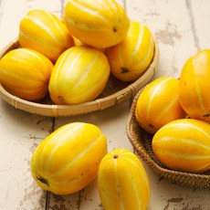 [고당도 가정용] 성주 참외 혼합 (랜덤), 랜덤1kg