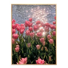 호인트 diy 명화그리기 유화 피포페인팅 컬러링키트 대형 40x50cm, 1개, 001윤슬과튤립