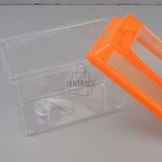 곤충채집통 달팽이집 파충류사육통 어항수족관 소형 투명곤충채집통 곤충채집도구