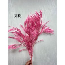 原裝把不凋茶樹葉不凋花永生花乾燥花材組合輕鬆打造獨特風格花藝設計, 亮粉