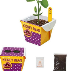 베란다 종이 화분 미니 홈 가드닝 관찰 텃밭 세트, 본상품