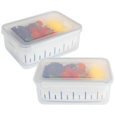 나누담 야채 과일 보관 채반 밀폐용기, 2개, 4L