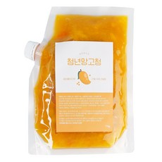 청년수제청 과일청 자일로스 수제 망고청, 1개, 1kg