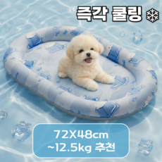 다나모어 강아지 쿨매트 여름용 방수 아이스패드 반려견 쿨링매트, 1개, 블루