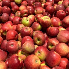 [재구매율 100%] 농장직송 달콤아삭 못난이사과, 1박스, 3kg