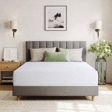 EGOHOME RV 매트리스 쇼트 퀸 10인치 그린티젤 메모리폼 숙면
