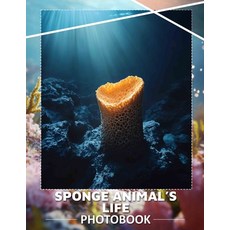 (영문도서) Sponge Animal's Life Photo Book: Explore The Vibrant Underwater World With 40 S... Paperback, Independently Published, English, 9798300876500