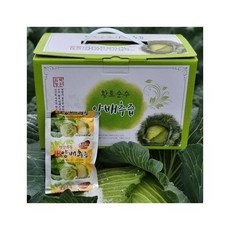 찐한 겉잎까지 달인 양배추즙 100ml 100포 듬뿍농원