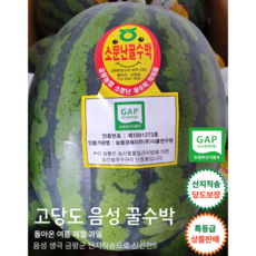 프리미엄 GAP인증 음성 양구 금왕 친환경 수박 소문난 꿀수박, 1개, 7kg 이상, 음성 생극 금왕 수박