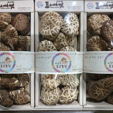 표고버섯백화고흑화고선물세트5번, 1개