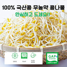 무농약 유기농 산소콩나물 1kg 2kg 3kg/ 친환경 국내산 신선 채소 천연 암반수로 청결 재배 나물 반찬용 식자재, 1개, 3kg