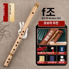 국악기 입문자용 단소 전통 경량 케이스 초보자용 연주 휴대용 연습용, 1개, [F 키] (가죽 케이스)