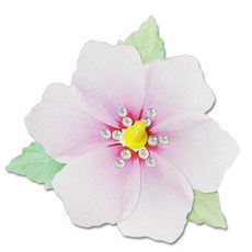 라이즈올 우리나라 무궁화팽이 5인용 방과후수업재료 다문화교육자료